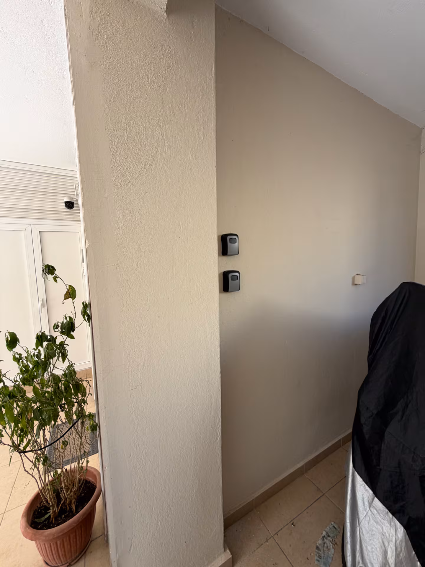 Xanthou Studio - Image 3